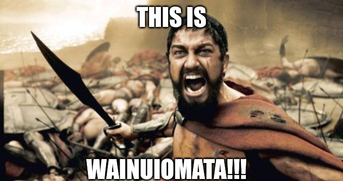 Sparta Leonidas | THIS IS; WAINUIOMATA!!! | image tagged in memes,sparta leonidas | made w/ Imgflip meme maker