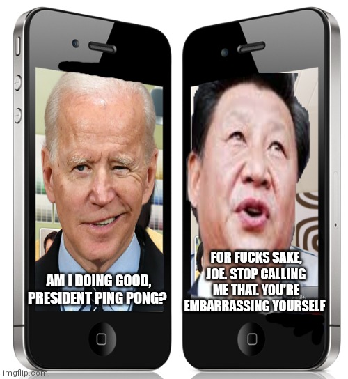 Facetime | AM I DOING GOOD, PRESIDENT PING PONG? FOR FUCKS SAKE, JOE. STOP CALLING ME THAT. YOU'RE EMBARRASSING YOURSELF | image tagged in facetime | made w/ Imgflip meme maker