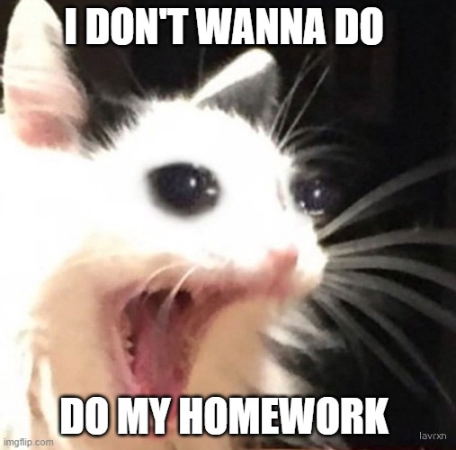 Zad cat | I DON'T WANNA DO; DO MY HOMEWORK | image tagged in zad cat | made w/ Imgflip meme maker