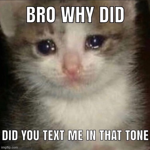 Bro why did you text me in that tone | image tagged in bro why did you text me in that tone | made w/ Imgflip meme maker