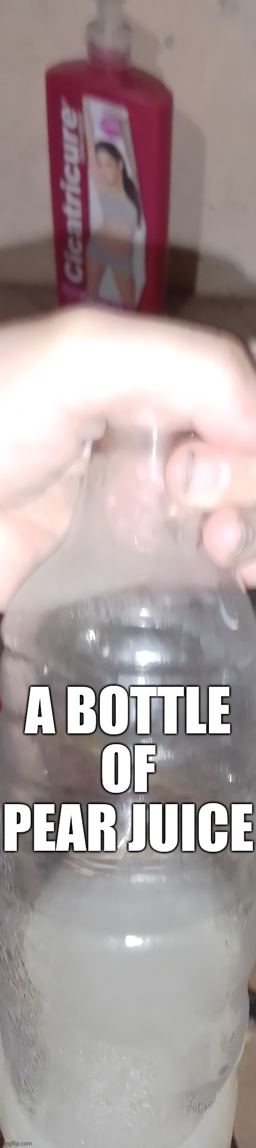 A BOTTLE OF PEAR JUICE | made w/ Imgflip meme maker