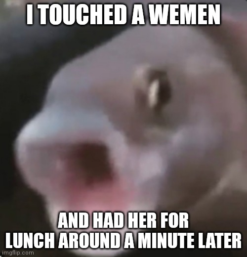 Stream ded | I TOUCHED A WEMEN; AND HAD HER FOR LUNCH AROUND A MINUTE LATER | image tagged in poggers fish | made w/ Imgflip meme maker