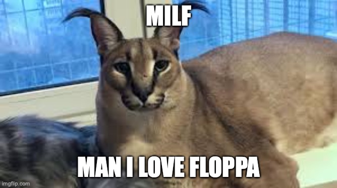 that's what it stands for | MILF; MAN I LOVE FLOPPA | image tagged in floppa | made w/ Imgflip meme maker