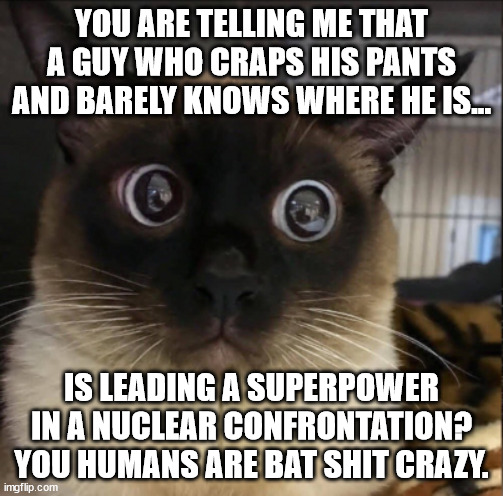 The Cats are NOT Amused |  YOU ARE TELLING ME THAT A GUY WHO CRAPS HIS PANTS AND BARELY KNOWS WHERE HE IS... IS LEADING A SUPERPOWER IN A NUCLEAR CONFRONTATION? YOU HUMANS ARE BAT SHIT CRAZY. | image tagged in joe biden,opps i crapped my pants | made w/ Imgflip meme maker