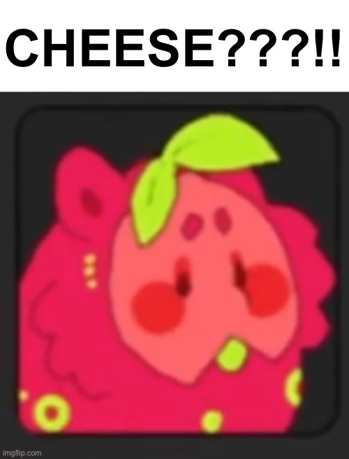 CHEESE???!! | CHEESE???!! | image tagged in cheese | made w/ Imgflip meme maker