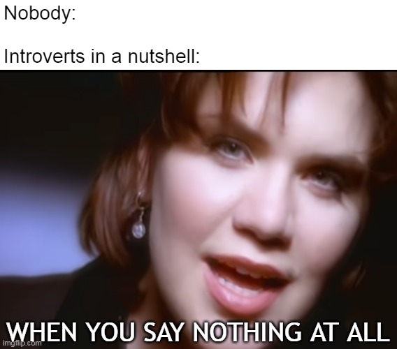 Nobody:
 
Introverts in a nutshell:; WHEN YOU SAY NOTHING AT ALL | image tagged in meme,memes,humor,introverts | made w/ Imgflip meme maker