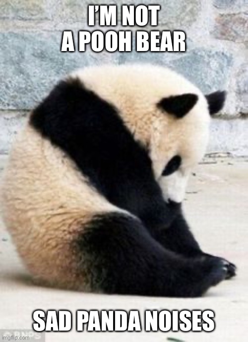 Sad Panda | I’M NOT A POOH BEAR; SAD PANDA NOISES | image tagged in sad panda,winnie the pooh | made w/ Imgflip meme maker