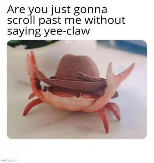yee claww | image tagged in crab,cute | made w/ Imgflip meme maker