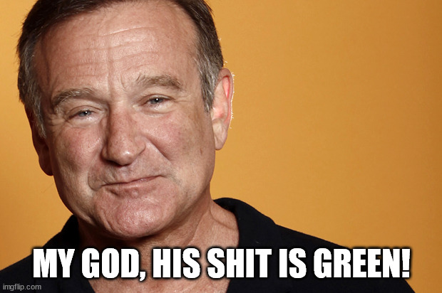 robin williams | MY GOD, HIS SHIT IS GREEN! | image tagged in robin williams | made w/ Imgflip meme maker