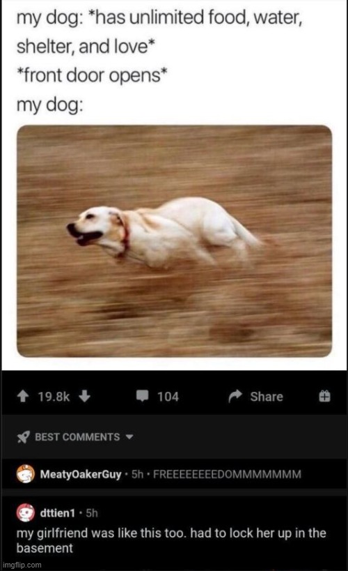Oh Oh no | image tagged in funny,stupid,dog | made w/ Imgflip meme maker