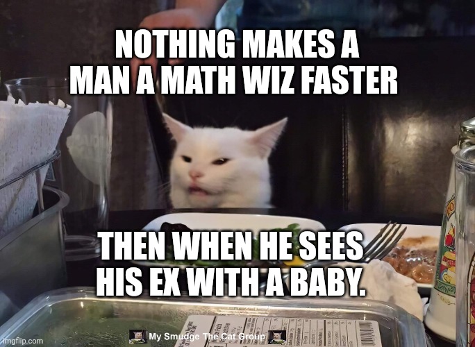 NOTHING MAKES A MAN A MATH WIZ FASTER; THEN WHEN HE SEES HIS EX WITH A BABY. | image tagged in smudge the cat | made w/ Imgflip meme maker