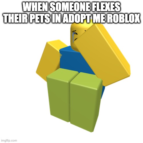 WHEN SOMEONE FLEXES THEIR PETS IN ADOPT ME ROBLOX | made w/ Imgflip meme maker