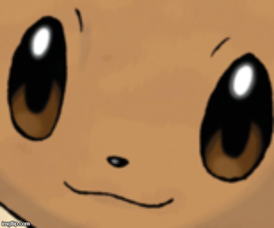 eevee face | image tagged in eevee face | made w/ Imgflip meme maker