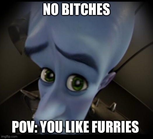Megamind peeking | NO BITCHES; POV: YOU LIKE FURRIES | image tagged in no bitches | made w/ Imgflip meme maker