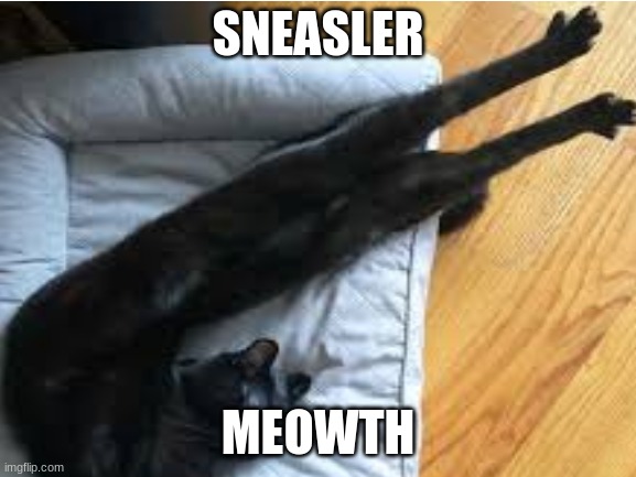 SNEASLER MEOWTH | made w/ Imgflip meme maker