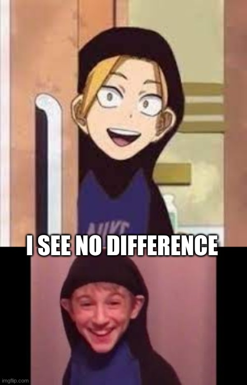 They're the same! | I SEE NO DIFFERENCE | image tagged in denki,vine kid | made w/ Imgflip meme maker