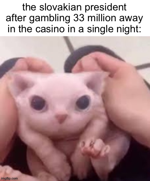 something like that happened, apparently. | the slovakian president after gambling 33 million away in the casino in a single night: | made w/ Imgflip meme maker
