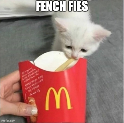 French Fried Tears | FENCH FIES | image tagged in french fried tears | made w/ Imgflip meme maker