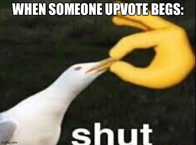 WHEN SOMEONE UPVOTE BEGS: | image tagged in shut | made w/ Imgflip meme maker