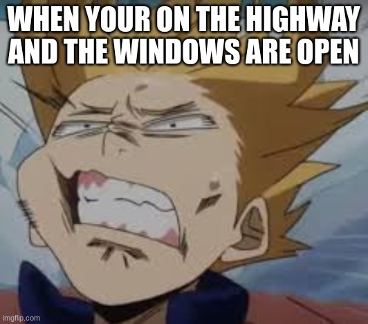 Mah face- | WHEN YOUR ON THE HIGHWAY AND THE WINDOWS ARE OPEN | image tagged in denki,highway,wind,windows | made w/ Imgflip meme maker