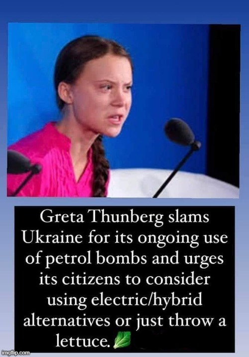 Throw a lettuce for freedom ! | image tagged in greta thunberg how dare you | made w/ Imgflip meme maker