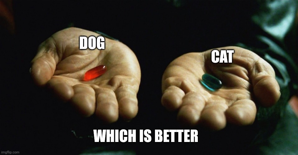 Red pill blue pill | DOG; CAT; WHICH IS BETTER | image tagged in red pill blue pill | made w/ Imgflip meme maker