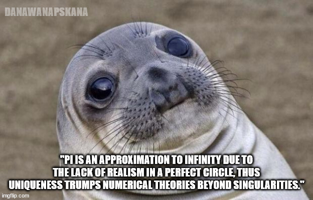 Smartass Seal | DANAWANAPSKANA; "PI IS AN APPROXIMATION TO INFINITY DUE TO THE LACK OF REALISM IN A PERFECT CIRCLE, THUS UNIQUENESS TRUMPS NUMERICAL THEORIES BEYOND SINGULARITIES." | image tagged in memes,awkward moment sealion,seal,sea lion,science,physics | made w/ Imgflip meme maker