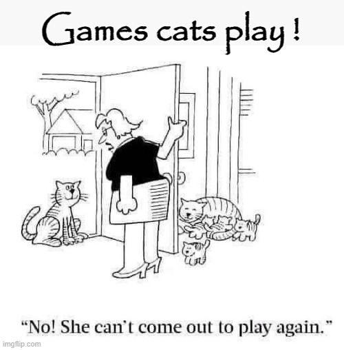 Games time ? | Games cats play ! | image tagged in woman yelling at cat | made w/ Imgflip meme maker