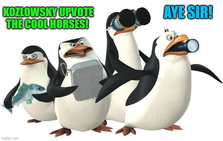 penquines | KOZLOWSKY UPVOTE THE COOL HORSES! AYE SIR! | image tagged in penquines | made w/ Imgflip meme maker