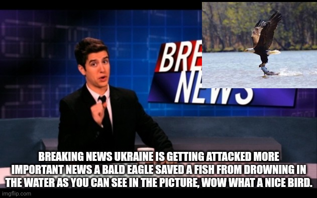 News media be like these days | BREAKING NEWS UKRAINE IS GETTING ATTACKED MORE IMPORTANT NEWS A BALD EAGLE SAVED A FISH FROM DROWNING IN THE WATER AS YOU CAN SEE IN THE PICTURE, WOW WHAT A NICE BIRD. | image tagged in breaking news man | made w/ Imgflip meme maker