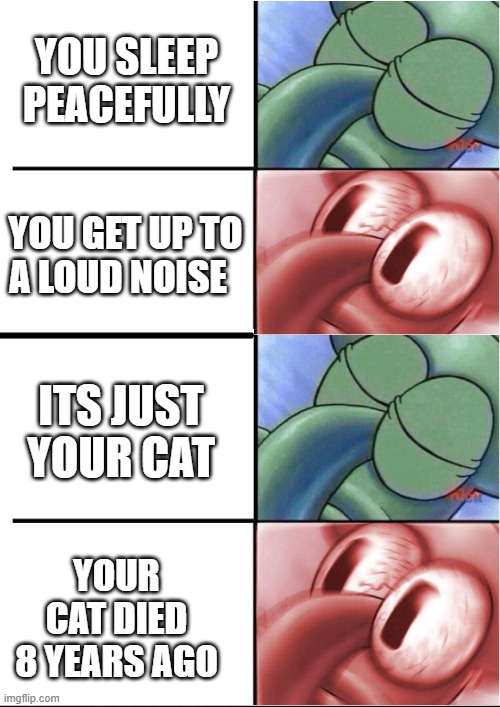 AYO WHAT |  YOU SLEEP PEACEFULLY; YOU GET UP TO A LOUD NOISE; ITS JUST YOUR CAT; YOUR CAT DIED 8 YEARS AGO | image tagged in squidward,funny memes | made w/ Imgflip meme maker