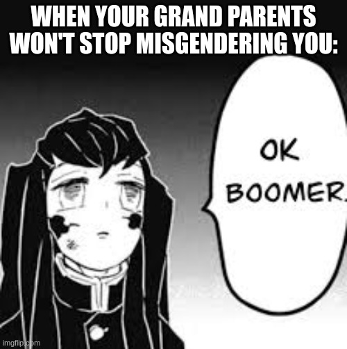Y | WHEN YOUR GRAND PARENTS WON'T STOP MISGENDERING YOU: | image tagged in y | made w/ Imgflip meme maker