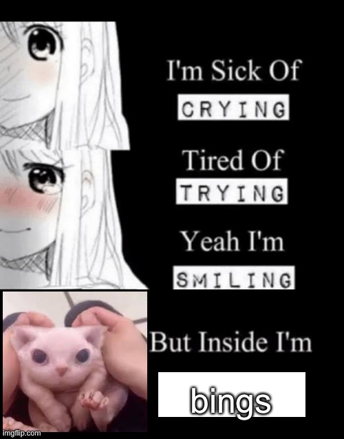 bingu | bings | image tagged in i'm sick of crying | made w/ Imgflip meme maker