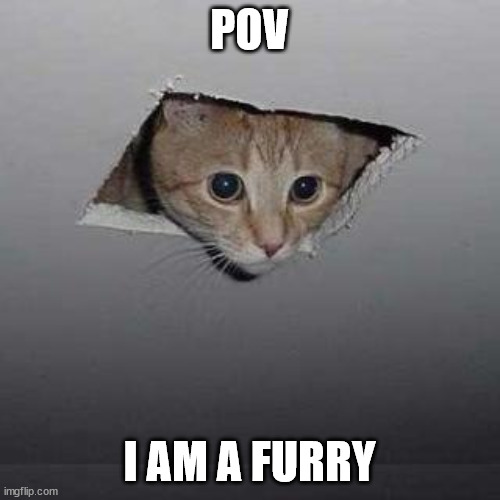 Ceiling Cat Meme | POV I AM A FURRY | image tagged in memes,ceiling cat | made w/ Imgflip meme maker