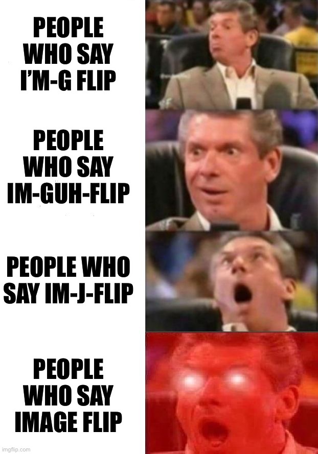 True story | PEOPLE WHO SAY I’M-G FLIP; PEOPLE WHO SAY IM-GUH-FLIP; PEOPLE WHO SAY IM-J-FLIP; PEOPLE WHO SAY IMAGE FLIP | image tagged in mr mcmahon reaction | made w/ Imgflip meme maker