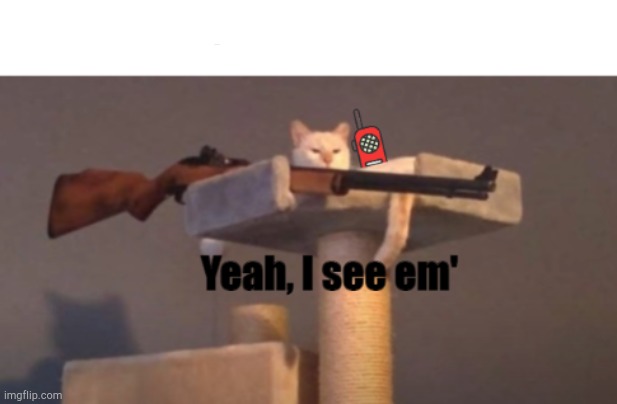 Sniper Cat (Captioned) | image tagged in sniper cat captioned | made w/ Imgflip meme maker