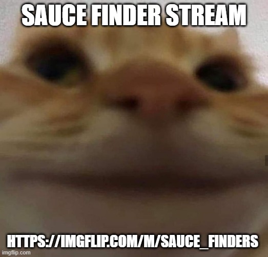 awkward cat | SAUCE FINDER STREAM; HTTPS://IMGFLIP.COM/M/SAUCE_FINDERS | image tagged in awkward cat | made w/ Imgflip meme maker
