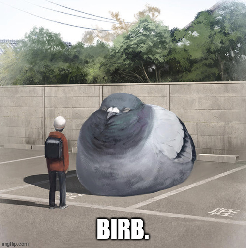 Beeg Birb | BIRB. | image tagged in beeg birb | made w/ Imgflip meme maker