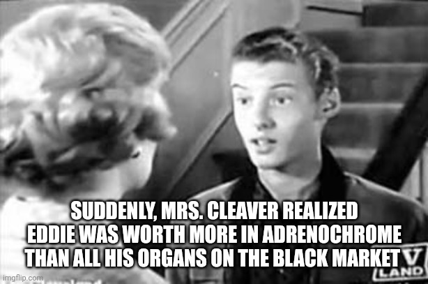 Eddie Haskell | SUDDENLY, MRS. CLEAVER REALIZED EDDIE WAS WORTH MORE IN ADRENOCHROME THAN ALL HIS ORGANS ON THE BLACK MARKET | image tagged in eddie haskell | made w/ Imgflip meme maker