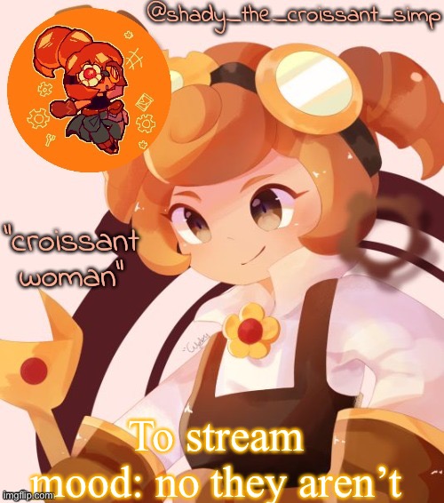To stream mood: no they aren’t | image tagged in yet another croissant woman temp thank syoyroyoroi | made w/ Imgflip meme maker