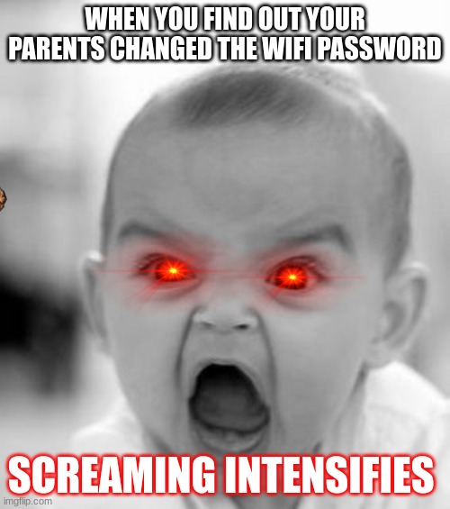 Angry Baby | WHEN YOU FIND OUT YOUR PARENTS CHANGED THE WIFI PASSWORD; SCREAMING INTENSIFIES | image tagged in memes,angry baby | made w/ Imgflip meme maker