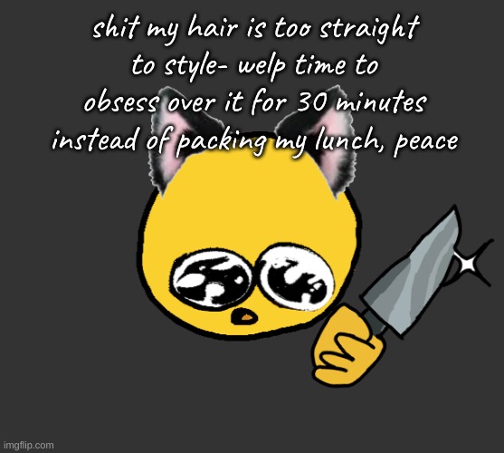 .-. | shit my hair is too straight to style- welp time to obsess over it for 30 minutes instead of packing my lunch, peace | image tagged in no bitches | made w/ Imgflip meme maker