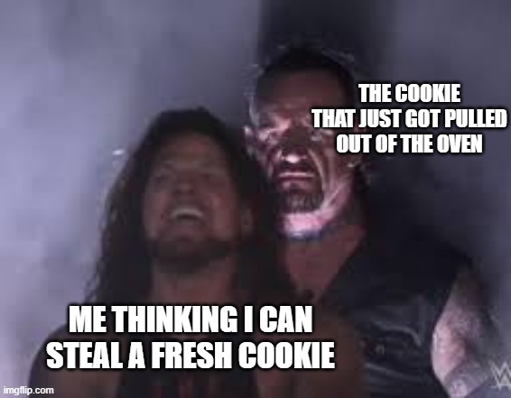Undrtaker | THE COOKIE THAT JUST GOT PULLED OUT OF THE OVEN; ME THINKING I CAN STEAL A FRESH COOKIE | image tagged in cookie | made w/ Imgflip meme maker
