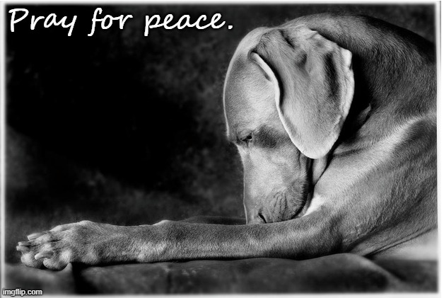 Pray for peace | Pray for peace. | image tagged in dogs | made w/ Imgflip meme maker