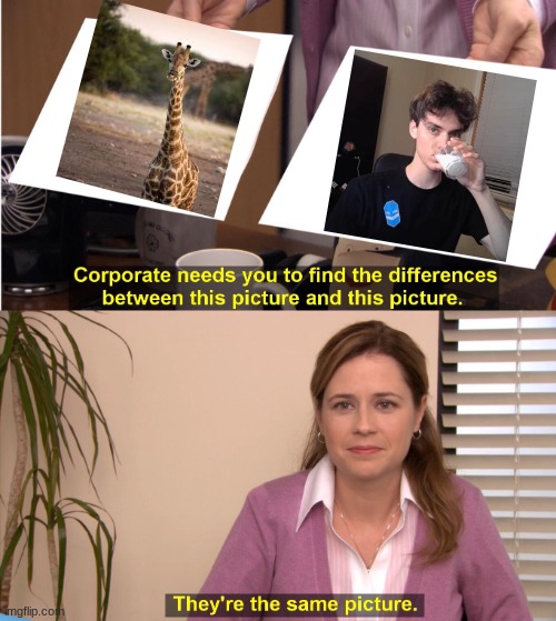 Dani neck | image tagged in memes,they're the same picture | made w/ Imgflip meme maker