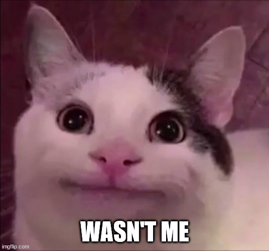 Awkward Smile Cat | WASN'T ME | image tagged in awkward smile cat | made w/ Imgflip meme maker