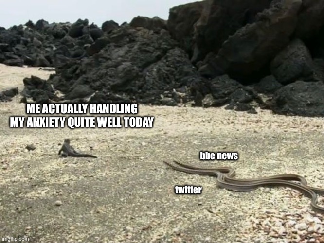 News Anxiety | ME ACTUALLY HANDLING MY ANXIETY QUITE WELL TODAY; bbc news; twitter | image tagged in anxiety,news,mental health,worry,planet earth,current events | made w/ Imgflip meme maker