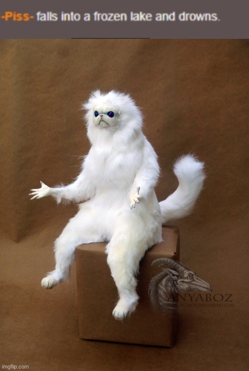 image tagged in memes,persian cat room guardian single | made w/ Imgflip meme maker