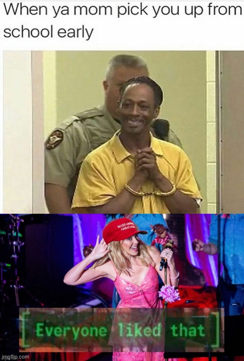 image tagged in maga kylie everyone liked that | made w/ Imgflip meme maker