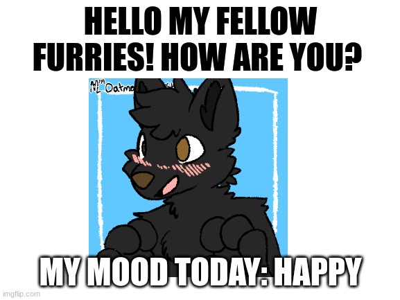 hello! | HELLO MY FELLOW FURRIES! HOW ARE YOU? MY MOOD TODAY: HAPPY | image tagged in blank white template,furry,furries | made w/ Imgflip meme maker